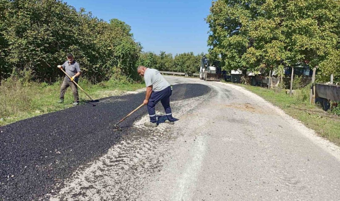 DÜZCE (İHA) – Düzce İl Özel İdaresi ekipleri köylerde deformasyona