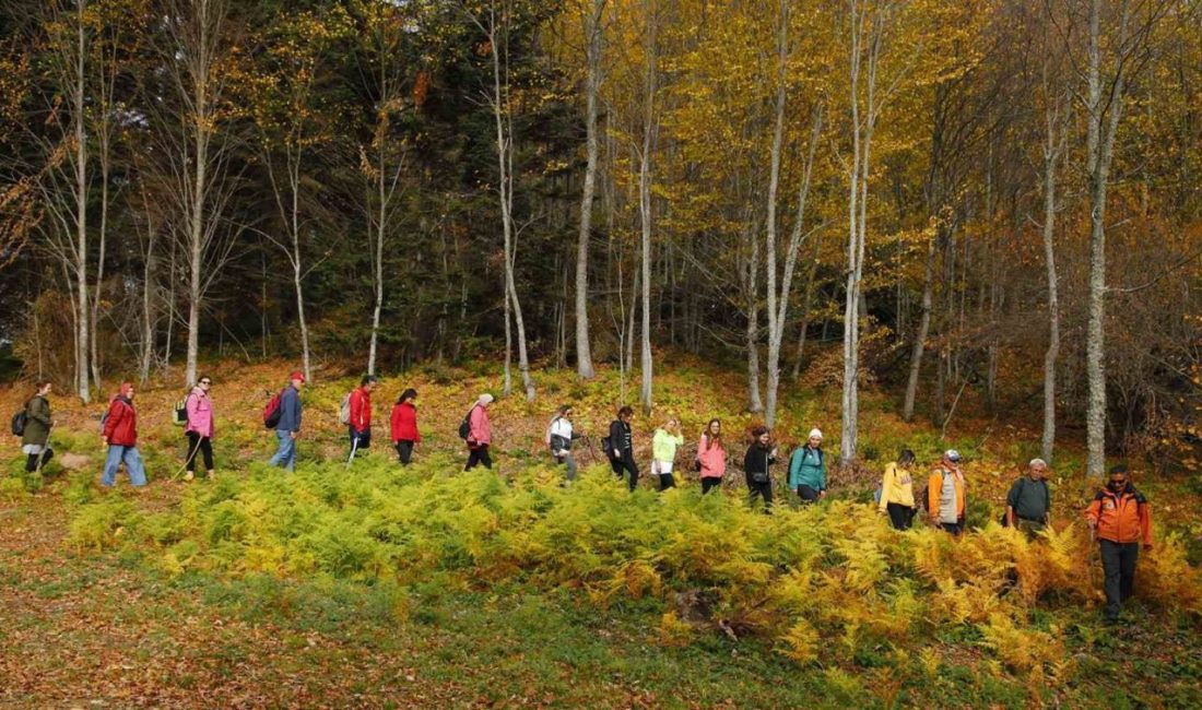 Sakarya Büyükşehir Belediyesi, Sonbahar Doğa Yürüyüşleri programını açıkladı. İlk yürüyüş,
