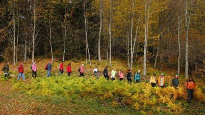 Sakarya Büyükşehir Belediyesi, Sonbahar Doğa Yürüyüşleri programını açıkladı. İlk yürüyüş,