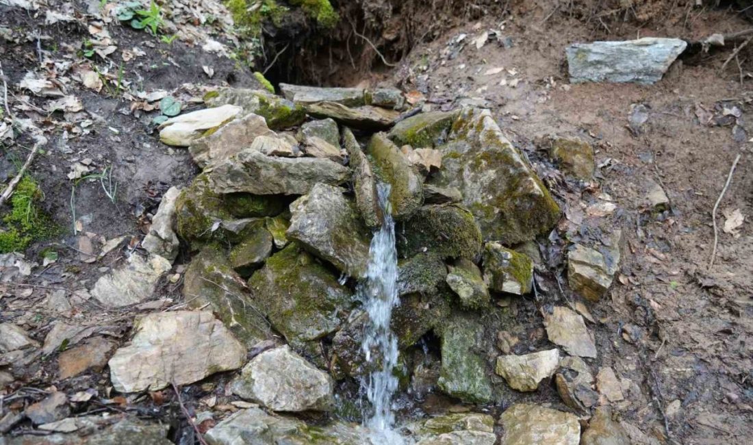 Kastamonu’nun Taşköprü ilçesinde hastalıklara ve ağrılara şifa olduğuna inanılan kaynak