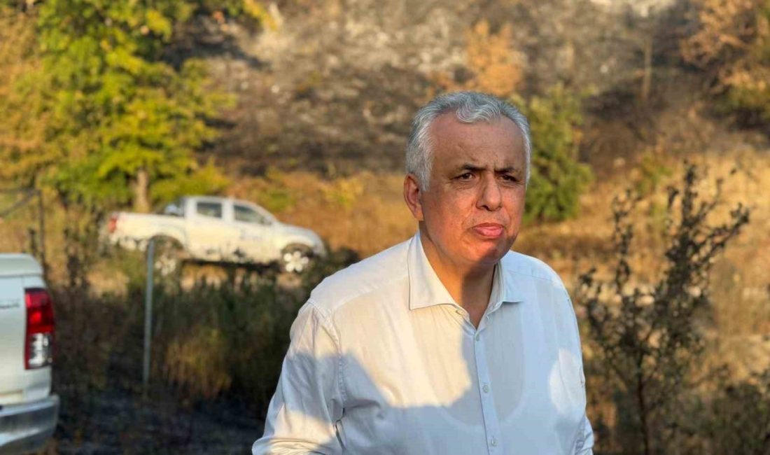Düzce Vali Vekili Şevket Cinbir, orman yangınıyla ilgili, “İlimiz merkez
