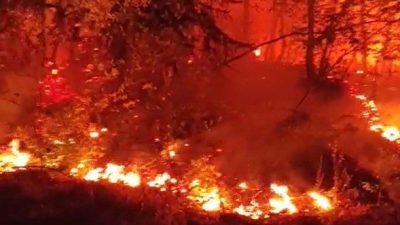 Düzce’de Esençam köyü mevkiinde çıkan ve büyük oranda kontrol altına