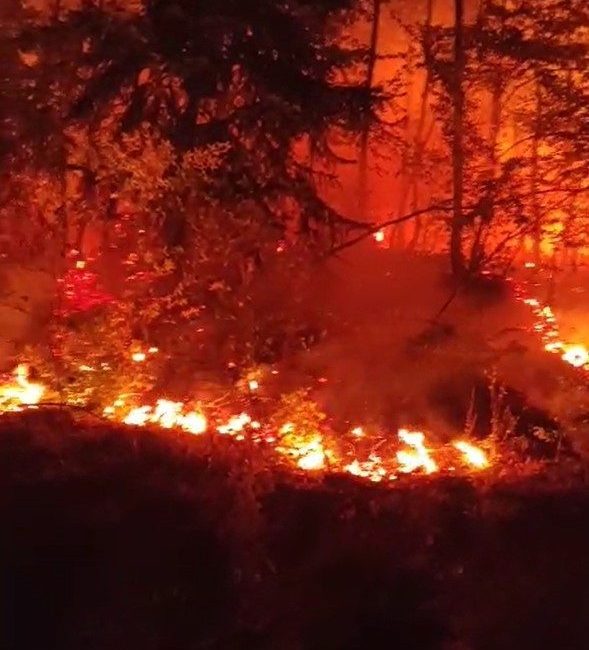 Düzce’de Esençam köyü mevkiinde çıkan ve büyük oranda kontrol altına