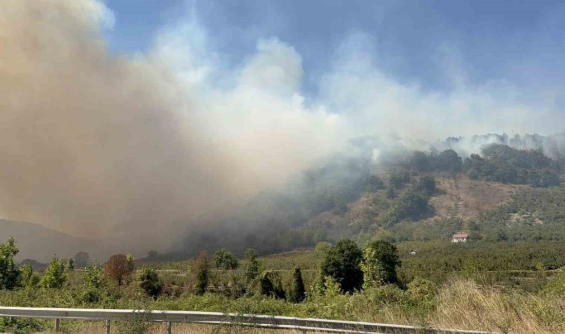 Düzce’de başlayan orman yangınına müdahalede 5. saate girilirken, 35 araç