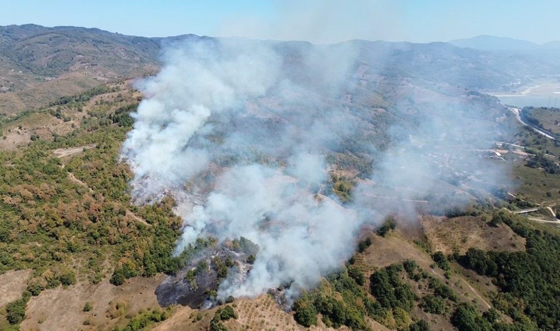 Düzce’de fındıklıkta başlayan anız yangını rüzgarın etkisi ile ormana sıçradı.