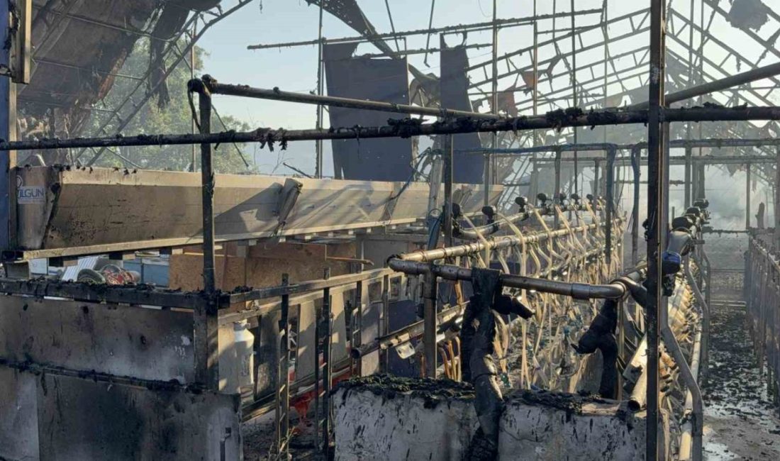 Düzce’de ormanlık alanda çıkan yangına müdahale sürerken, bölgedeki bir keçi