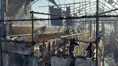 Düzce’de ormanlık alanda çıkan yangına müdahale sürerken, bölgedeki bir keçi