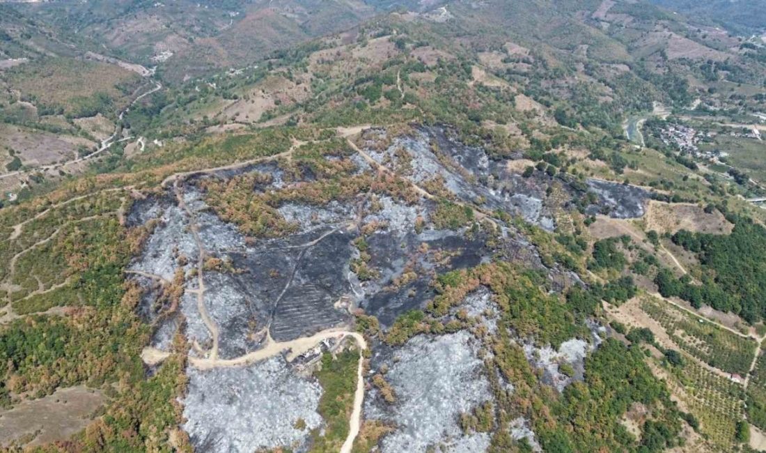 Düzce’de ormanlık alanda dün başlayıp 9 saatte kontrol altına alınan