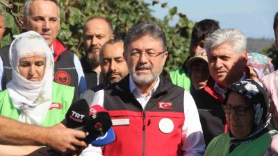 Tarım ve Orman Bakanı İbrahim Yumaklı, Sakarya’da erken kivi hasadına