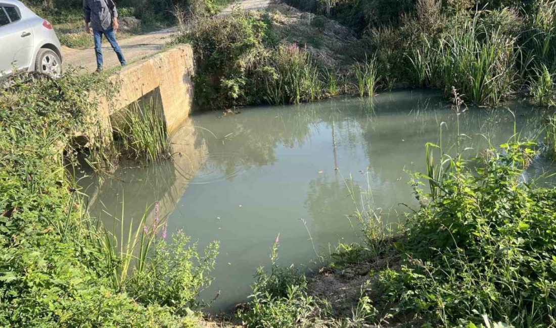 Sakarya’nın Ferizli ilçesinde mahalle sakinleri, sanayi bölgesindeki fabrikaların atıklarını su