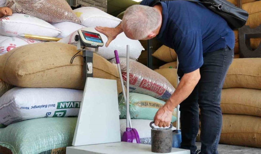 Düzce Belediyesi Zabıta Müdürlüğü, fındık hasadının başlaması ile birlikte fındık