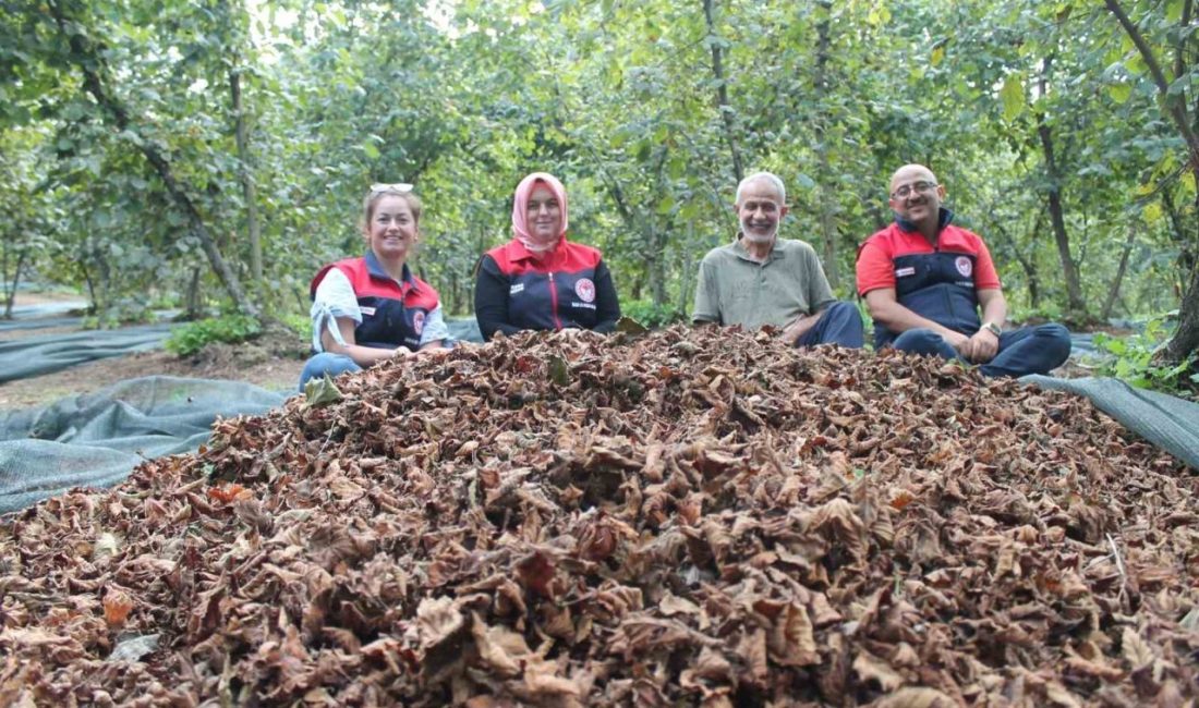 Düzce Tarım ve Orman İl Müdürlüğü tarafından kırsal kalkınma destekleri