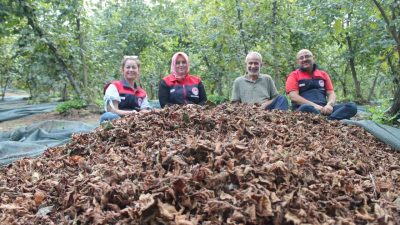 Düzce Tarım ve Orman İl Müdürlüğü tarafından kırsal kalkınma destekleri