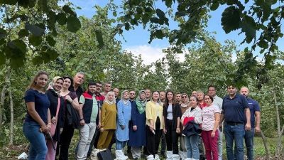 Düzce İl Tarım ve Orman Müdürlüğünce, fındıkta birim alandan elde