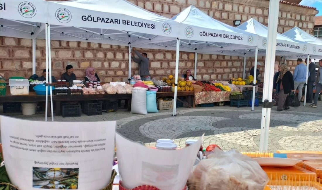 Bilecik’in Gölpazarı ilçesinde düzenlenen Kültür Sanat Festivali, yöresel ürünleri ve