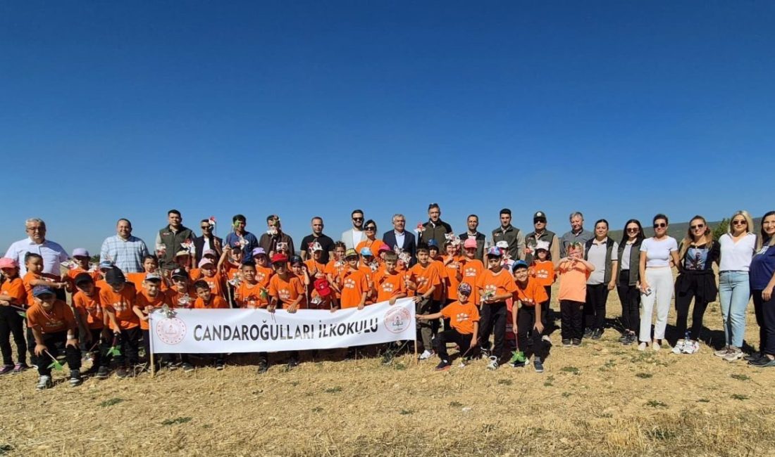 Kastamonu’da düzenlenen etkinlikte ilkokul öüğrencileri fidan dikti. Kastamonu İl Özel