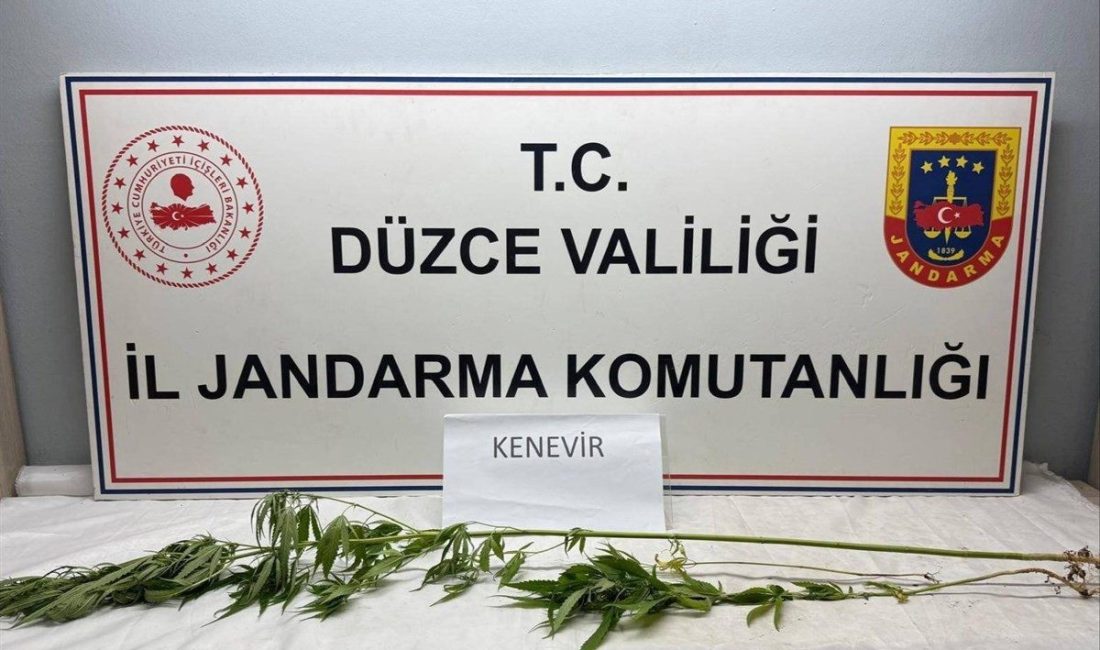 DÜZCE(İHA) – Düzce İl Jandarma Komutanlığına bağlı ekipler yaptığı operasyonda