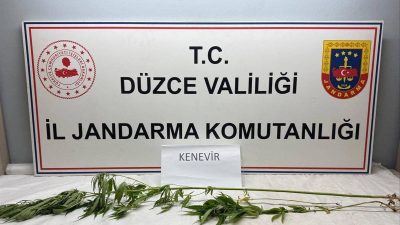 DÜZCE(İHA) – Düzce İl Jandarma Komutanlığına bağlı ekipler yaptığı operasyonda