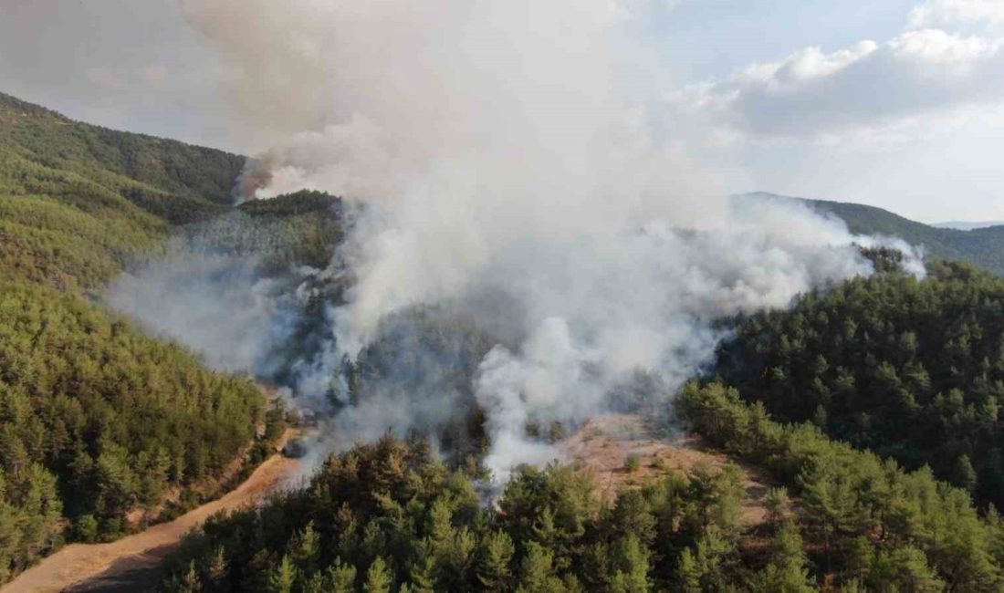 Kastamonu-Karabük sınırında ikinci orman yangını: Havadan ve karadan müdahale ediliyor Kastamonu-Karabük sınırında ikinci bir orman yangını çıktı. Yangına hem havadan