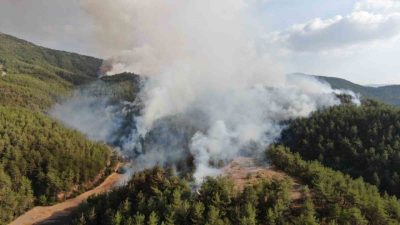 Kastamonu-Karabük sınırında ikinci bir orman yangını çıktı. Yangına hem havadan