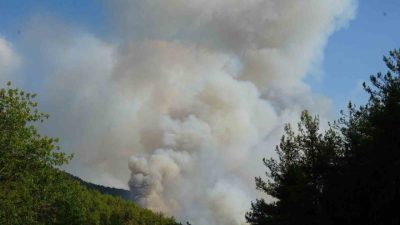 Kastamonu’nun Araç ilçesinde devam eden orman yangınıyla ilgili Kastamonu Valiliği’nden