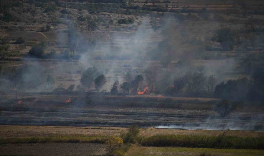 Kastamonu’nun Tosya ilçesinde çeltik tarlasında çıkan yangın, itfaiye ekipleri tarafından