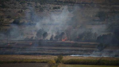 Kastamonu’nun Tosya ilçesinde çeltik tarlasında çıkan yangın, itfaiye ekipleri tarafından