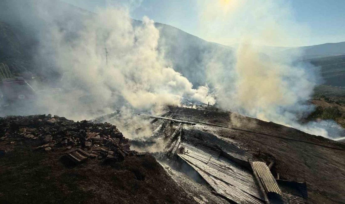 Kastamonu’da çıkan yangında iki ev ve iki samanlık kullanılamaz hale geldi Kastamonu’nun Araç ilçesinde çıkan yangında iki ev ve iki samanlık