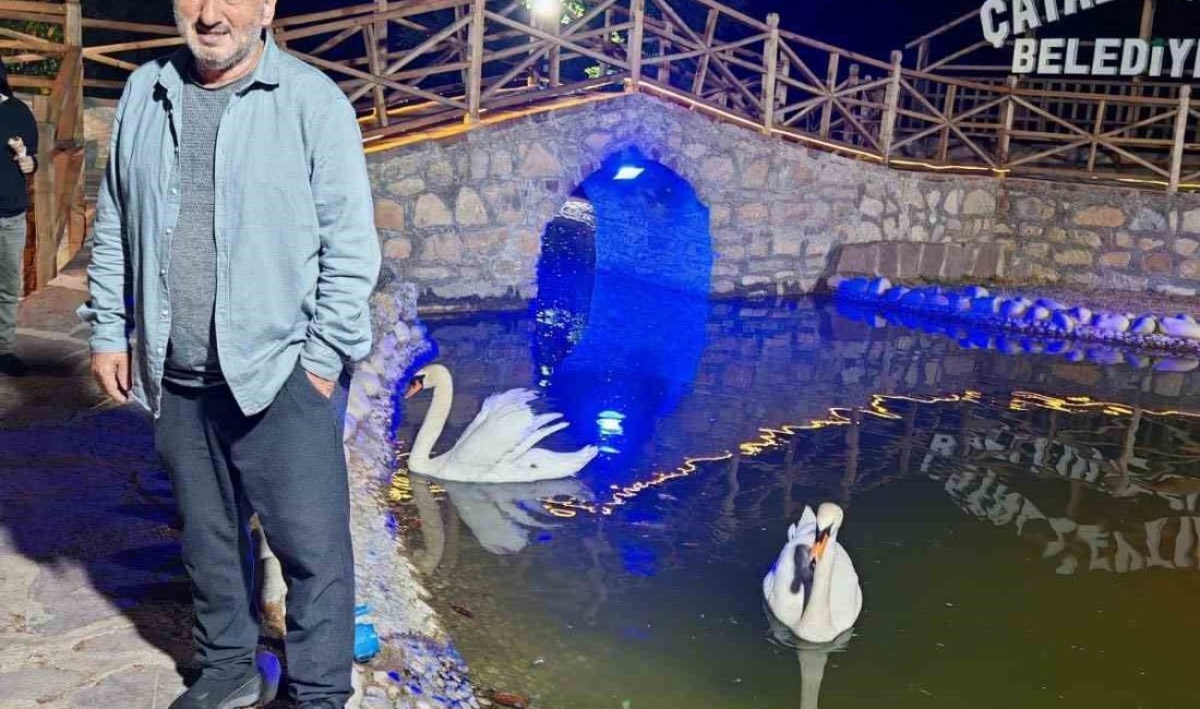Kastamonu’da incir ağacında düşen vatandaş hayatını kaybetti Kastamonu’nun Çatalzeytin ilçesinde incir ağacından düşen şahıs, hayatını kaybetti. Olay,