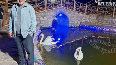 Kastamonu’nun Çatalzeytin ilçesinde incir ağacından düşen şahıs, hayatını kaybetti. Olay,