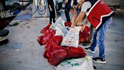 Kastamonu’da gerçekleştirilen denetimde kaçak avlanmış 142 kalkan balığı ele geçirildi.