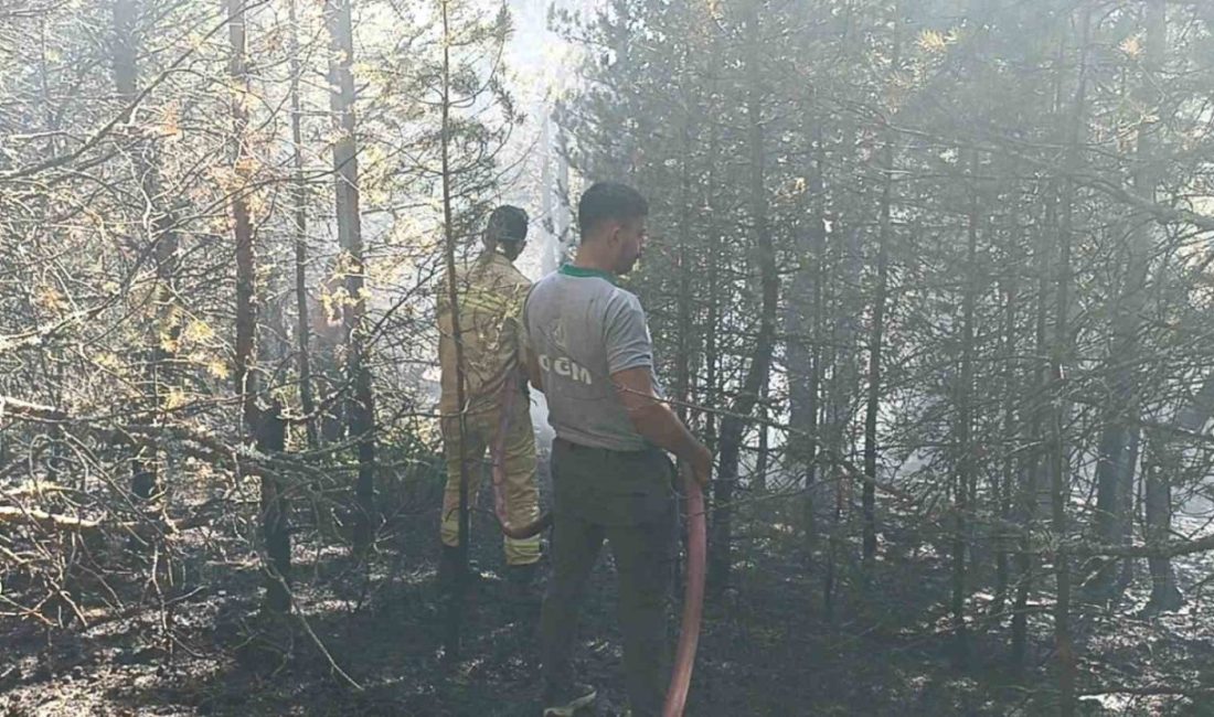 Kastamonu’nun Tosya ilçesinde ormanlık alanda çıkan yangın, orman ekiplerinin müdahalesiyle