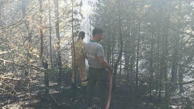 Kastamonu’nun Tosya ilçesinde ormanlık alanda çıkan yangın, orman ekiplerinin müdahalesiyle