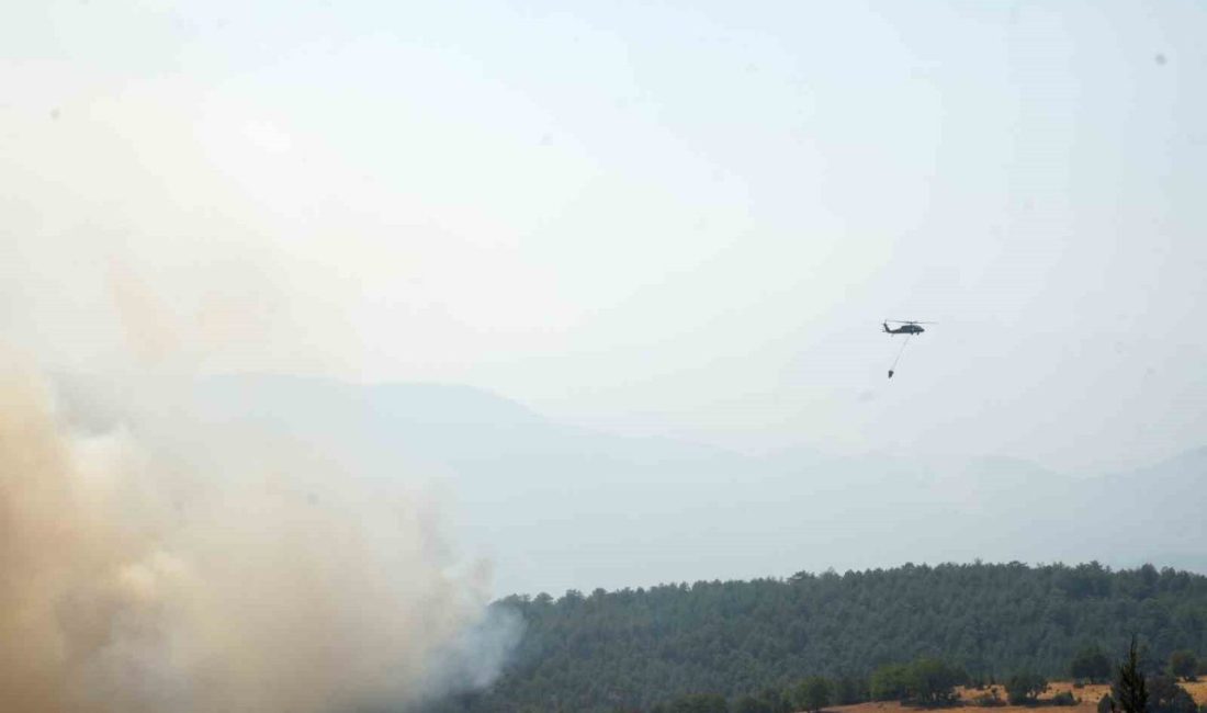 Kastamonu’da orman yangınlarıyla mücadele sürüyor Kastamonu’da çıkan orman yangınlarına havadan ve karadan müdahale ediliyor. Köylüler