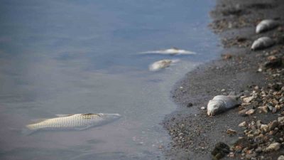 Kastamonu’da içme suyu ve sulama ihtiyacını karşılayan baraj gölünde, su