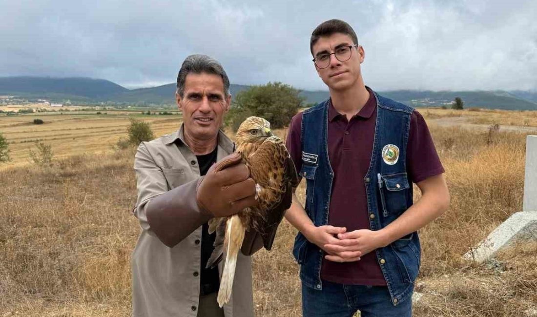 Kastamonu’nun Daday ilçesinde orman işçisi tarafından yaralı halde bulunan şahin