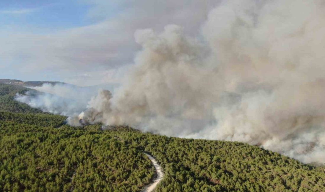 Kastamonu’daki orman yangını sürüyor: Kuvvetli rüzgar yangının enerjisini arttırdı Kastamonu’nun Araç ilçesinde etkili olan iki orman yangını sürüyor. Havadan