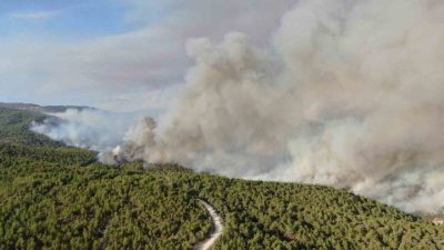 Kastamonu’nun Araç ilçesinde etkili olan iki orman yangını sürüyor. Havadan