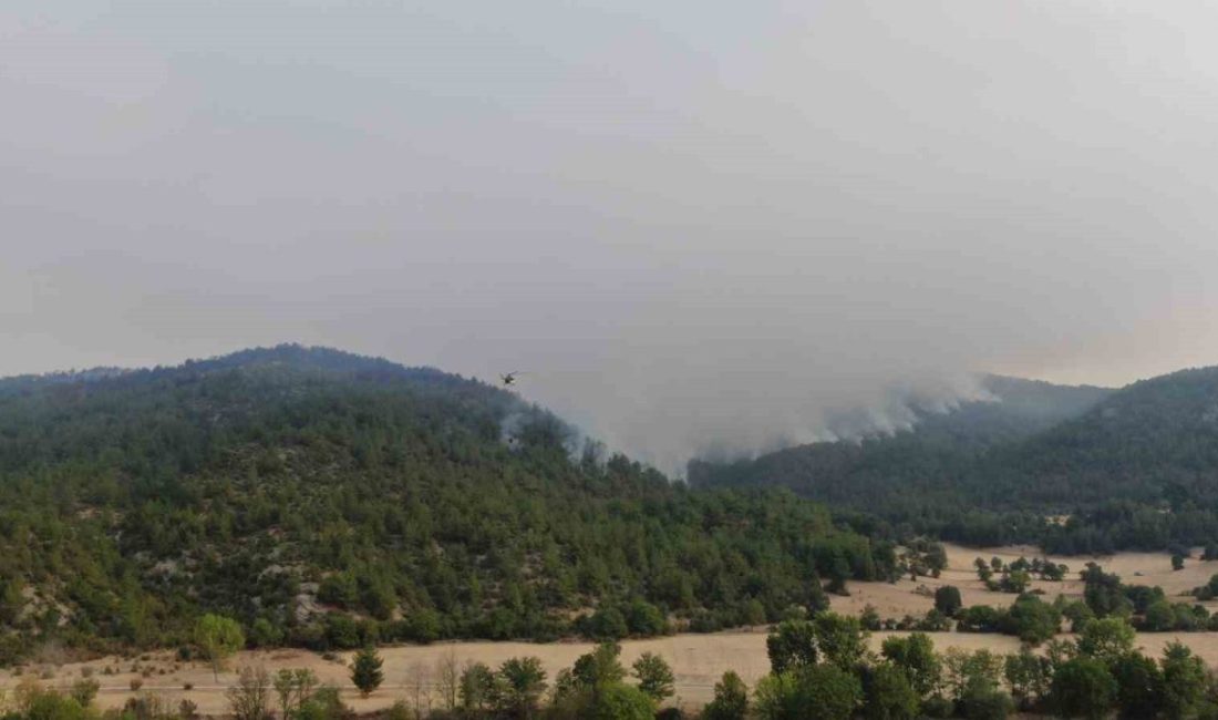 Kastamonu’nun Araç ilçesinde çıkan orman yangınlarının üçüncü gününde süren müdahale