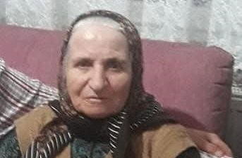 Kocaeli’nin Körfez ilçesinde yol kenarında otomobilin çarptığı 72 yaşındaki kadın