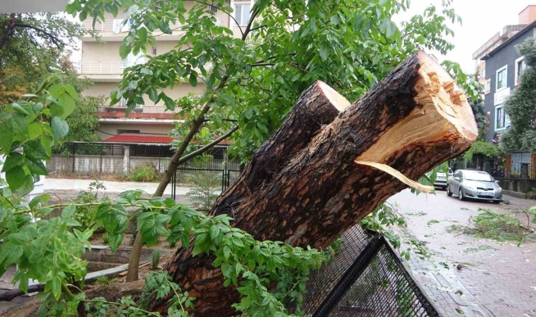Kocaeli’de sabaha karşı etkisini gösteren sağanak yağış, kent genelinde olumsuzluklara
