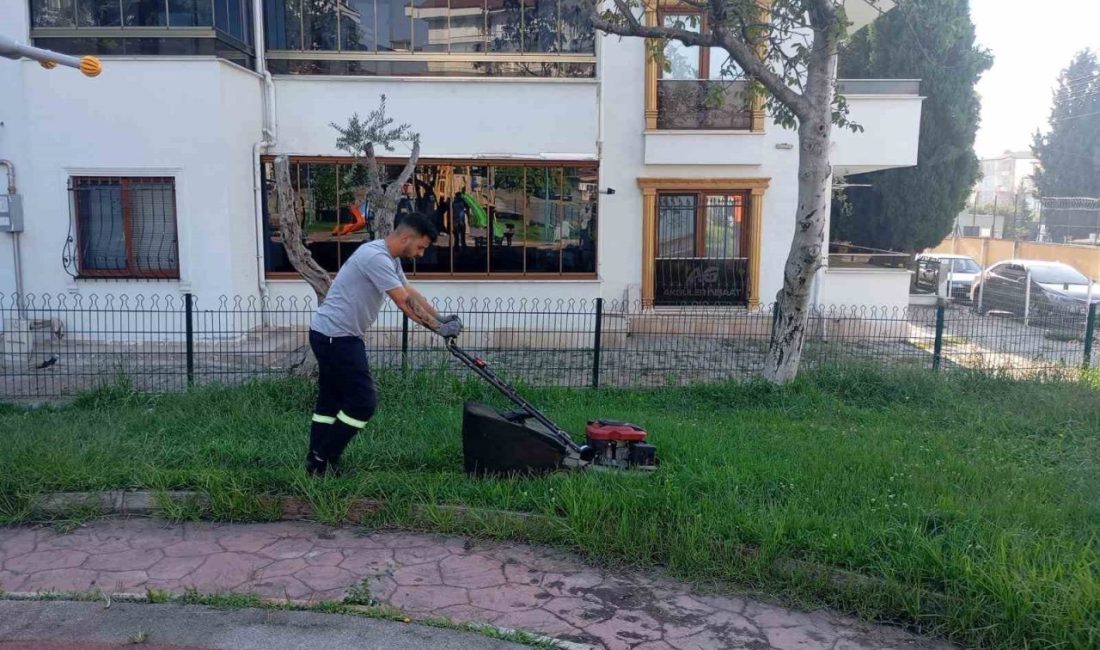 Körfez Belediyesi, ilçe genelinde hem yollar hem de park ve