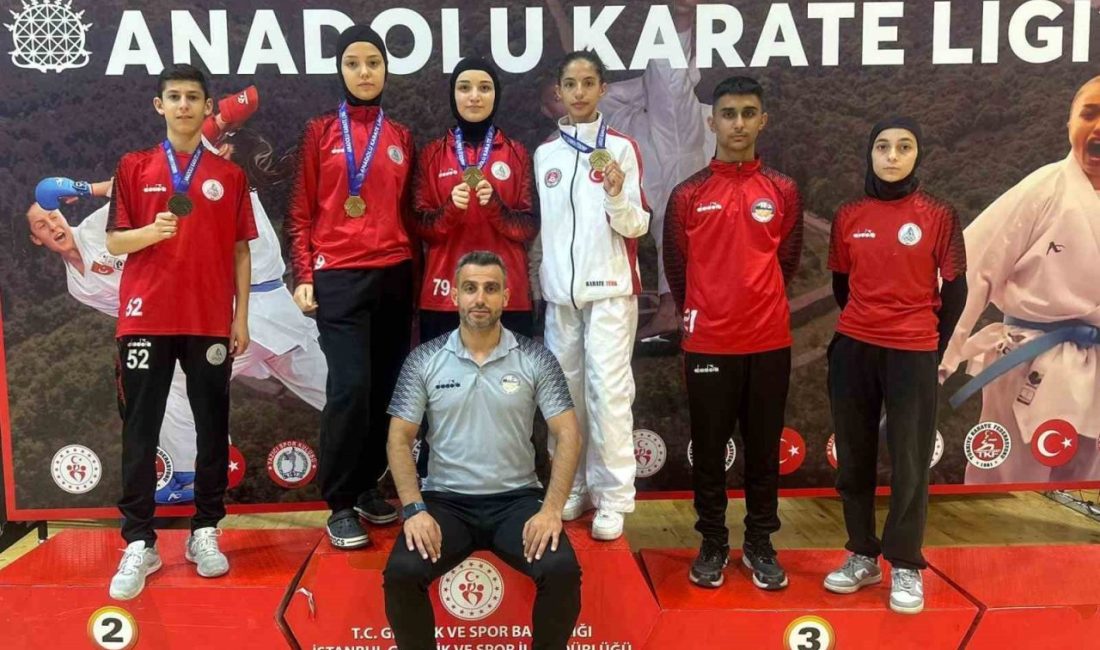 Körfez Gençlerbirliği Spor Kulübü Karate Takımı, Anadolu İller Arası Karate