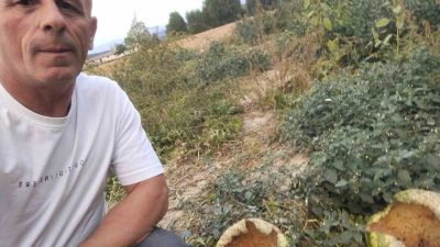 Bolu’nun Mudurnu ilçesine bağlı Çepni köyünde yaşayan çiftçi bahçesine ektiği