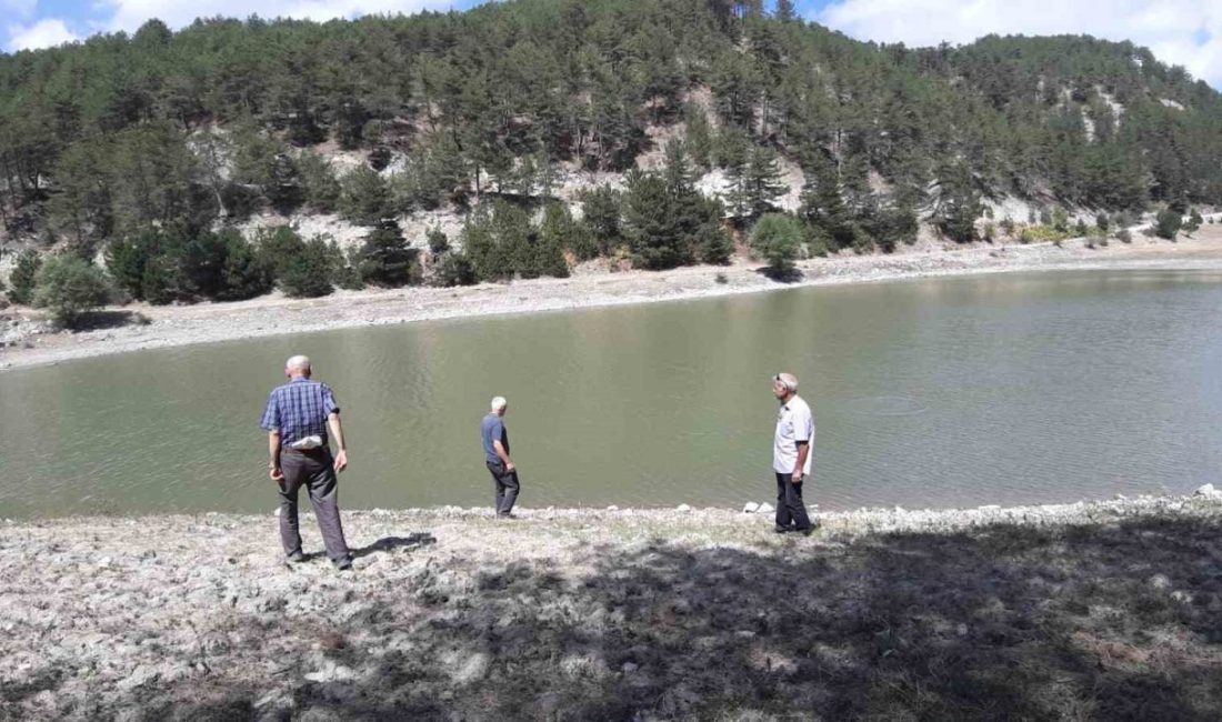 Bolu’nun Mudurnu ilçesinde çıkan orman yangınlarında kritik rol oynayan, helikopterlerin