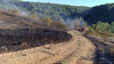 Bilecik’in Pazaryeri ilçesinde çıkan orman yangını ekiplerin zamanında müdahalesi ile