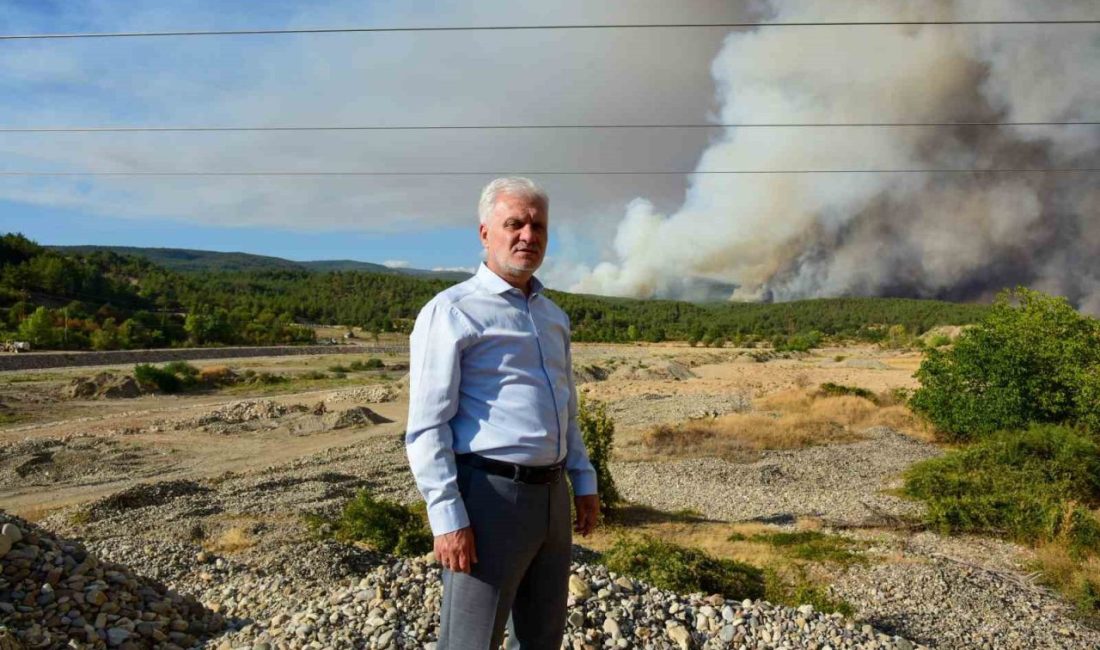 Kastamonu’da çıkan orman yangınlarının ardından açıklamalarda bulunan Kastamonu Üniversitesi Rektör