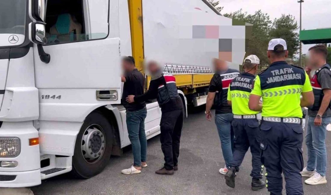 Sakarya’da jandarma ekiplerince kaçakçılıkla mücadele çerçevesinde düzenlenen operasyonda, piyasa değeri