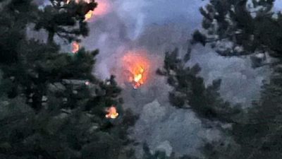 Sakarya’nın Akyazı ve Hendek ilçeleri arasında bulunan ormanlık alanda çıkan