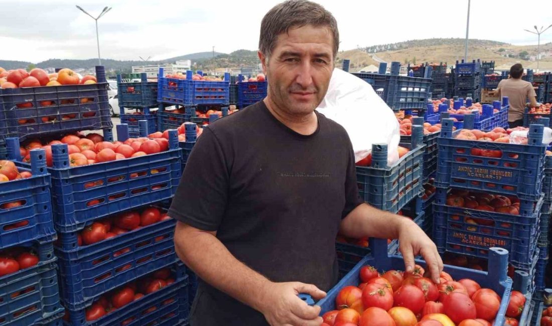Bilecik’te kış hazırlıkları yapan vatandaşlar salçalık domates almak için pazarın
